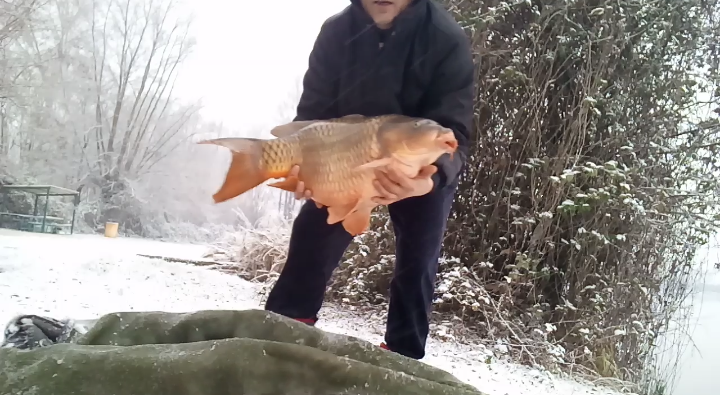 ISOLA DEL PESCATORE 10 - 11 decembrie 2017 - screenshot2017-12-11-10-26-45.png